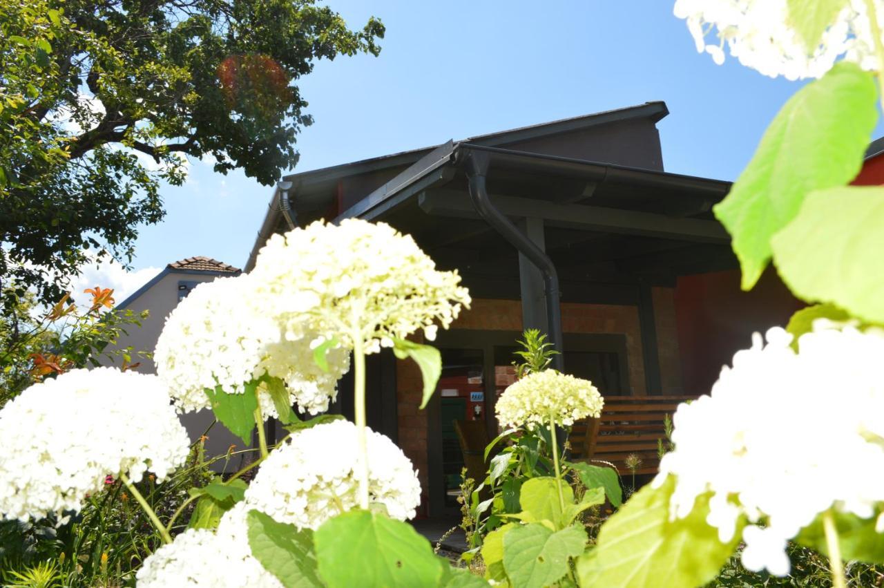 Villa Bootshaus Eisenstadt Exterior foto